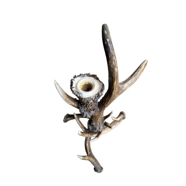 Antler Candelabra Black Forest Decor For Sale - Image 4 of 4