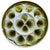 Orchies Early 20th Century Set of 8 Green French Majolica Oyster Plates & Platter Moulin Des Loups Orchies For Sale - Image 4 of 7