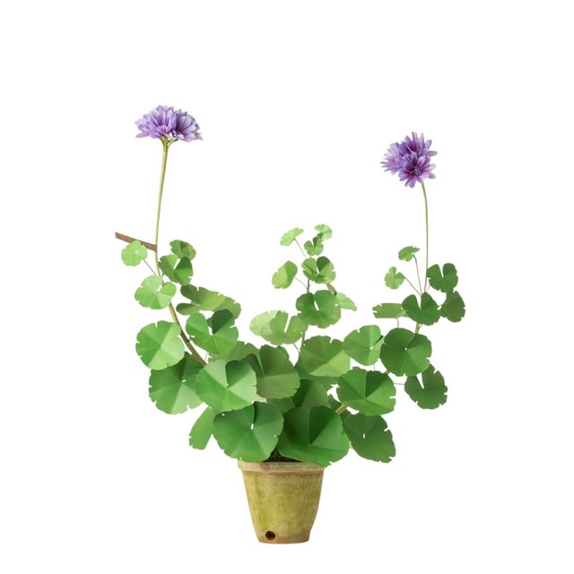 Paper Geranium plant with hand painted leaves and 2 blossoms in a beautiful aged terra cotta pot. Pictured here in purple...