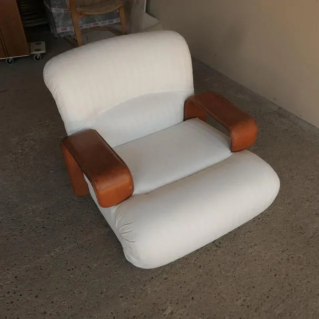 Lounge Chair by Franz Sartori, 1970s For Sale - Image 3 of 13