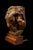 Early 20th Century 20th Century Burl Wood Sculpture of a Ram's Head by Edwin Bucher (1879-1968) For Sale - Image 5 of 5
