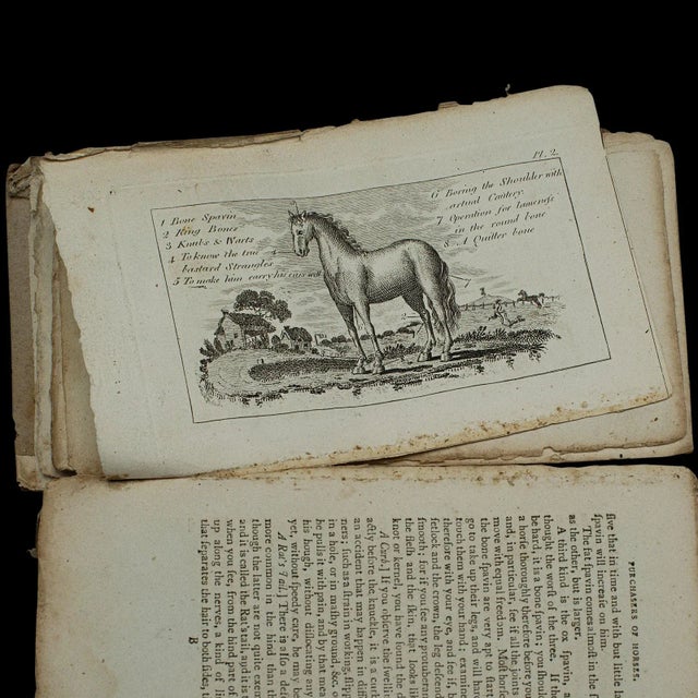 Late 18th Century 1796's Antique Book Compendium of Farriery For Sale - Image 5 of 12