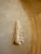 White Mid 19th Century Corinth Ironstone Extra Large Platter by James Edwards For Sale - Image 8 of 12