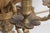Bronze Pair of Vintage Italian Renaissance Electric Bronze Wall Sconces For Sale - Image 8 of 13
