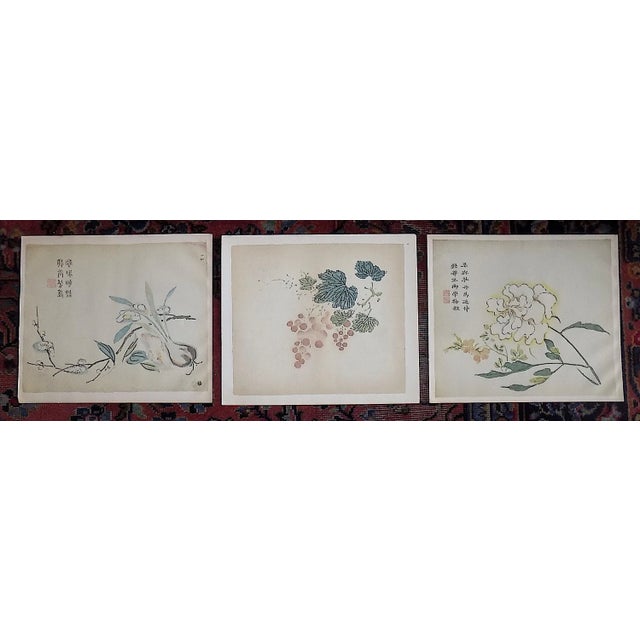 Vintage Signed Chinese Botanical Color Lithographs - Set of 3 For Sale - Image 9 of 9