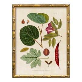 Example of Contemporary Fine Art