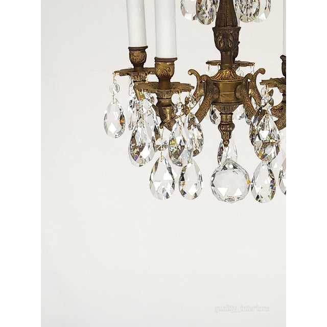Share Antique Teeny Tiny Twinkling 5 Arm 5 Light Brass Cut Lead Crystal Chandelier ~ Rewired ~ Restored ~ Rejuvenated ~ Ready to Hang ~ For Sale - Image 10 of 12