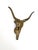 Metal Vintage Brass Longhorn Wall Mount For Sale - Image 7 of 10