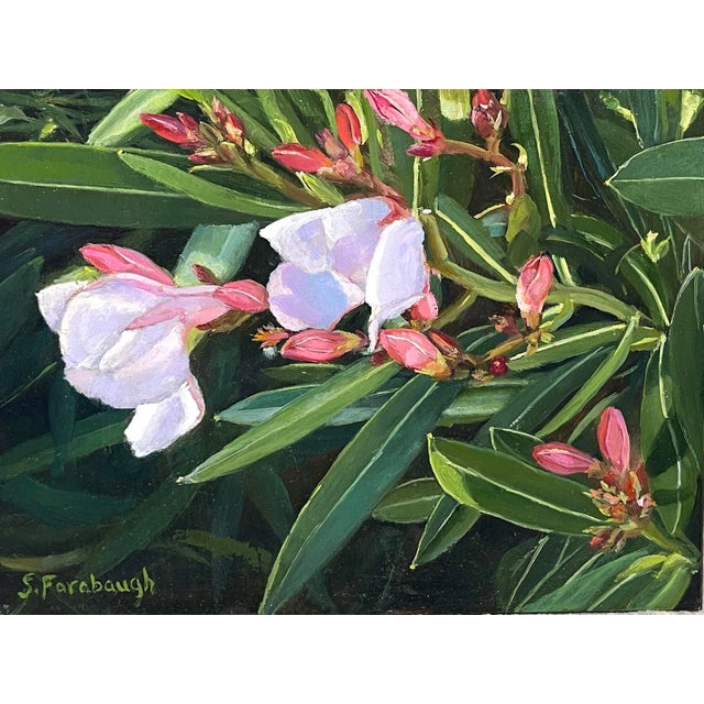 Contemporary Oleander by Sheri Farabaugh | Oil on Board Painting of white oleander flowers and green leaves For Sale - Image 3 of 3