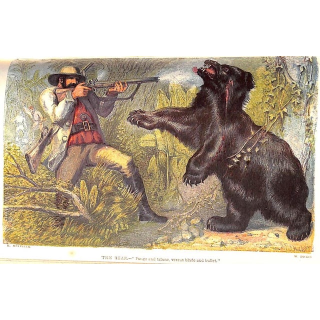 Paper "Wild Sports of the World: A Boy's Book of Natural History and Adventure" 1862 Greenwood, James For Sale - Image 7 of 12