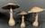 Late 20th Century Set of 3 Folk Art Carved Wood Mushroom Sculpture #M45 For Sale - Image 4 of 10