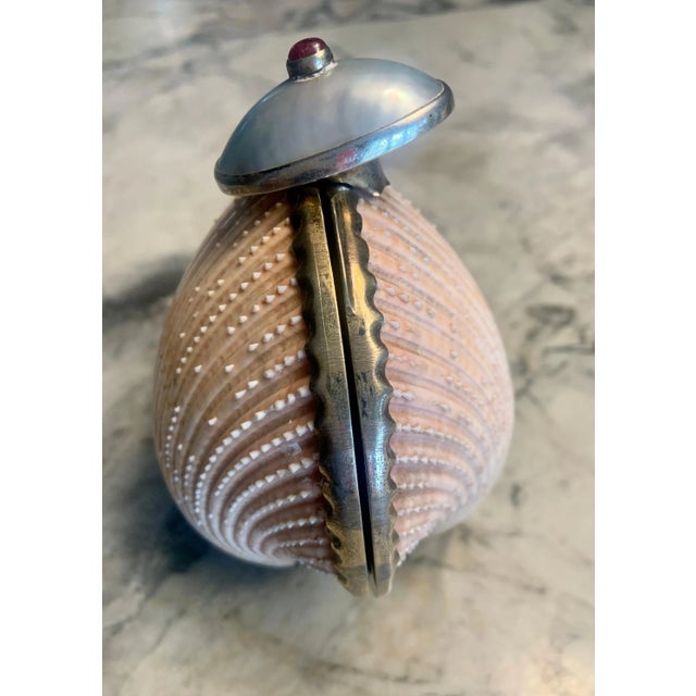1960s Marguerite Stix Shell Minaudiere with a Pearl and Cabochon Ruby Clasp circa 1965 For Sale - Image 5 of 11