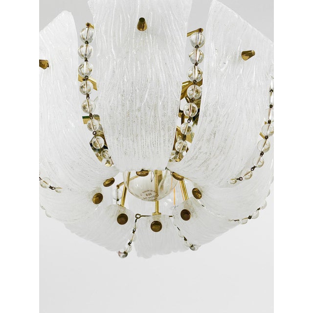 Petite Curved Basket Chandelier in Brass & Glass attributed to J. T. Kalmar for Kalmar, Austria, 1950s For Sale - Image 9 of 18