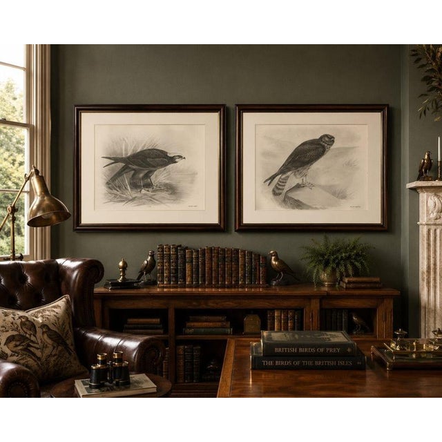 Stonham, Marsh and Hen Harrier Bird, 1908, Monochrome Ornithological Plates, Set of 2 For Sale - Image 3 of 9