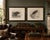 Stonham, Marsh and Hen Harrier Bird, 1908, Monochrome Ornithological Plates, Set of 2 For Sale - Image 3 of 9