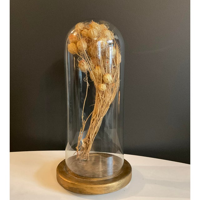 Antique Hand Blown Glass Cloche With Wooden Stand | Chairish