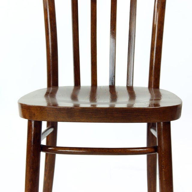 Brown Bistro Chair from Tatra, Former Czechoslovakia, 1960s For Sale - Image 8 of 12