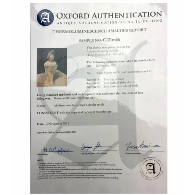 Gray Antique Tang Dynasty Museum Quality Tl Tested Terracotta Fat Lady Figure For Sale - Image 8 of 9