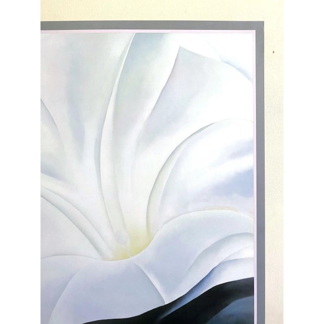 Georgia O'Keeffe Vintage 1988 Lithograph Print Museum Poster " Morning Glory With Black " 1926 For Sale In Kansas City - Image 6 of 12
