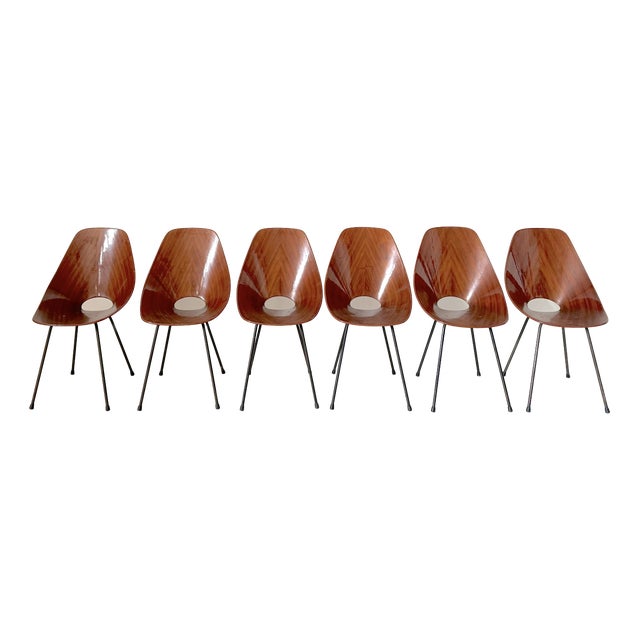 Vintage Medea Chairs by Vittorio Nobili for Fratelli Tagliabue, 1950s, Set of 6 For Sale
