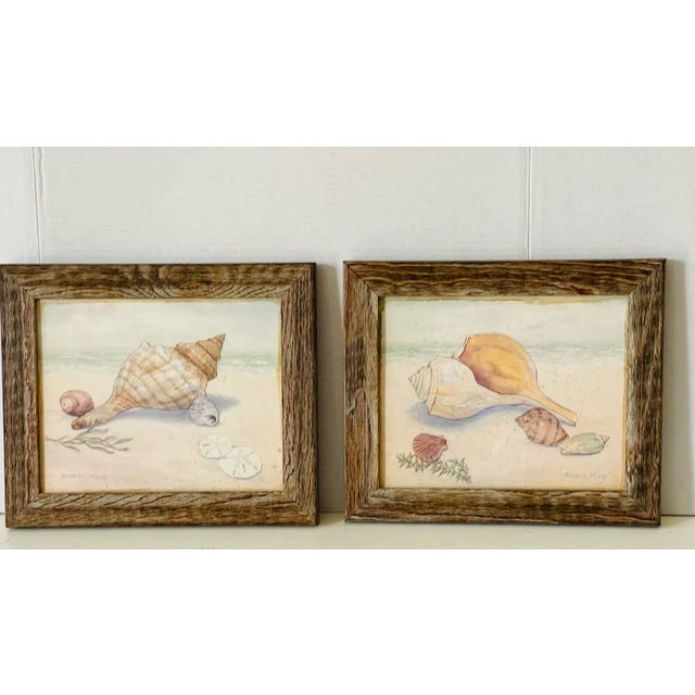 Pair of vintage sea shell colored lithographs. Signed by Barbara Fleri. Rustic wooden frames under glass.