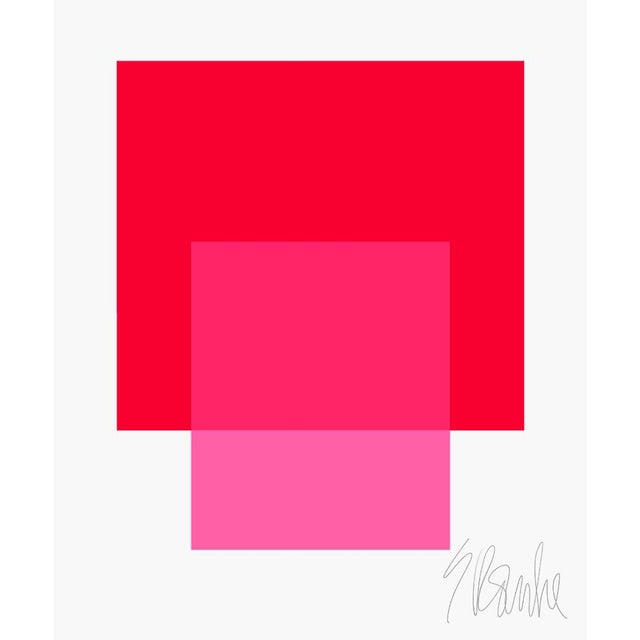 The Interaction of Red and Bright Pink Fine Art Print 40" X 50" by Liz Roache For Sale