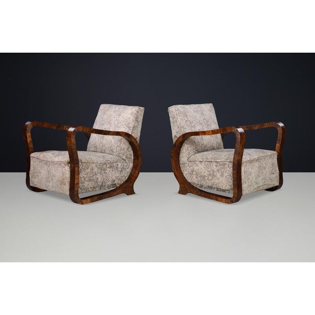 1920s Italian Art Deco Sculptural Burl Wood Chairs, 1920s, Set of 2 For Sale - Image 5 of 10