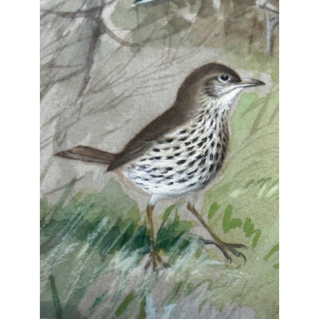 Illustration A Winter Gathering: Robin and Mixed British Songbirds — Original Watercolor on Paper in the Tradition of Archibald Thorburn For Sale - Image 3 of 18