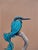 Masks We Wear, Sometimes it's a Cape by 3rd Version (Ben Patterson) | Oil on cradled panel Bird with a blue cape. For Sale In Denver - Image 6 of 10