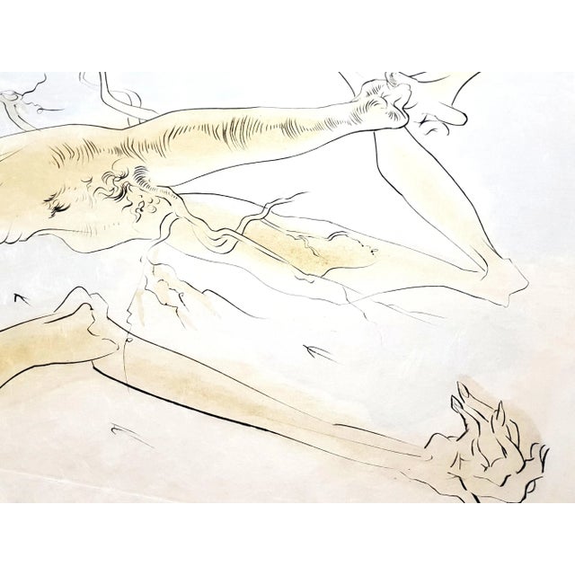 Gray Salvador Dali - The Oak and the Reed - Signed Engraving 1974 For Sale - Image 8 of 13