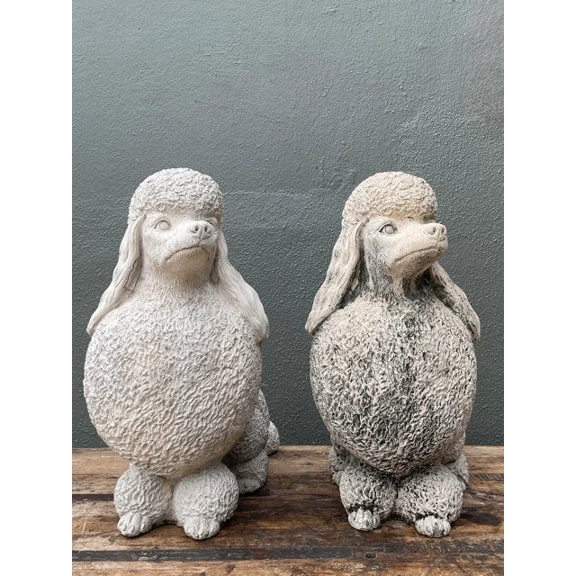 Vintage Cement Poodle Sculptures - A Pair For Sale In West Palm - Image 6 of 12