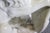 Pair Large White Glazed Ceramic Figures of Entryway Lions Paws Raised on Shield For Sale - Image 9 of 12