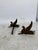 19th Century Bronze and Wrought Iron Andirons Featuring Griffins, 1880, Set of 2 For Sale - Image 11 of 14