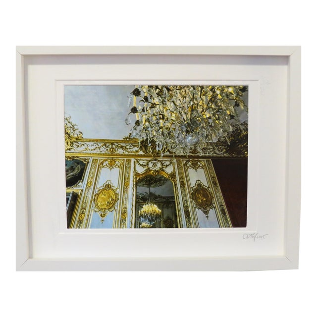 Paris Architecture Photography, Gold Murals, Framed Limited Edition by C. Damien Fox For Sale