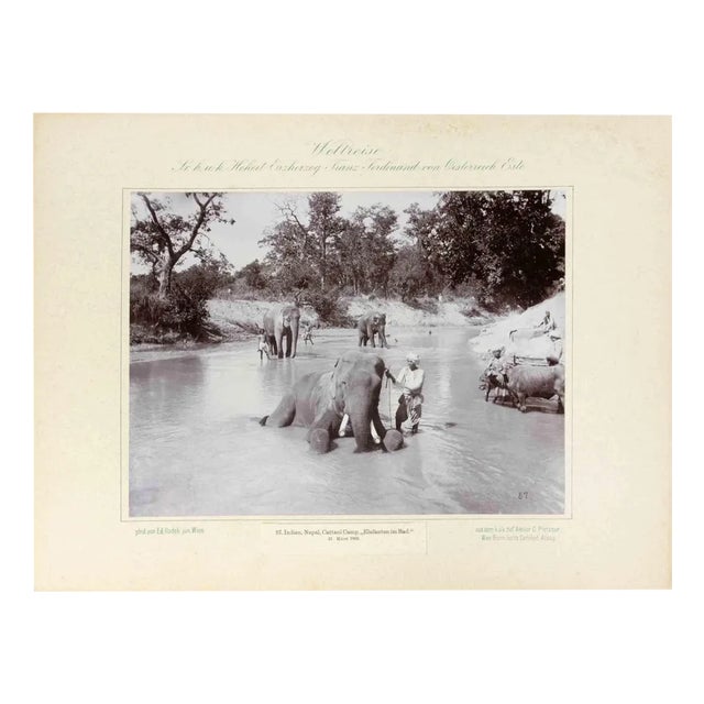 Eduard Hodek Jun, India, Nepal, Cattani Camp, Vintage Photograph, 1893 For Sale