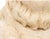 Frank Covino Leonardo Da Vinci Bust 1976 Large Cast Stone Sculpture For Sale - Image 4 of 7
