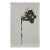 9.5" by 14.2" Unframed Organic Modern Original Botanical Floral Painting For Sale