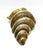 Mid 20th Century Vintage Oversized Brass Conch Shell Wall Pocket / Planter – Coastal / Hollywood Regency For Sale - Image 5 of 10