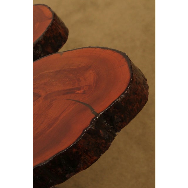Live Edge Slab Wood Pedestal Side Table For Sale In Philadelphia - Image 6 of 13