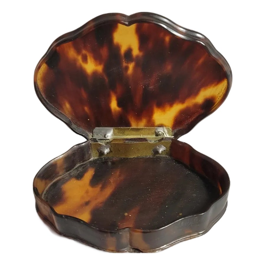 Antique Tortoiseshell Snuff Box With Brass Hinge – Early 19th Century ...