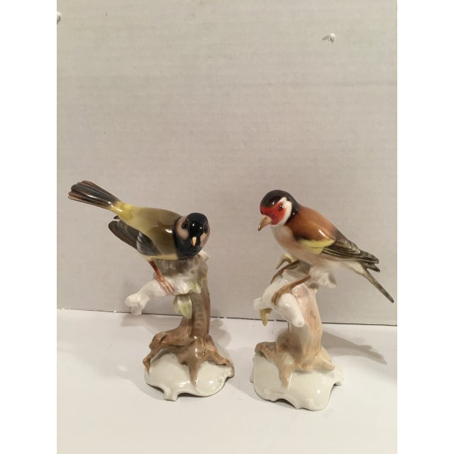 Traditional Hutschenreuther Germany Birds by K. Tutter - a Pair For Sale - Image 3 of 11