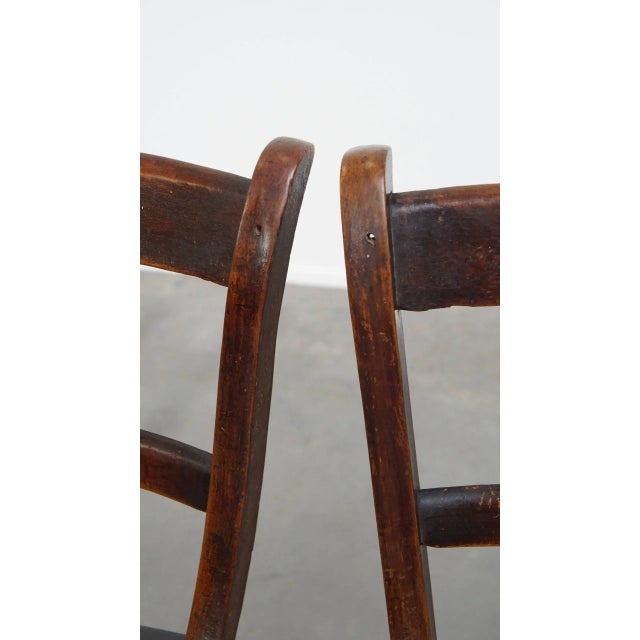 Brown Antique English Oxford Dining Chairs, Set of 6 For Sale - Image 8 of 13