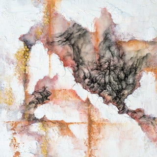 Cultural Erasure I by Cindy Shih | Mixed Media Abstract composition with textures and organic forms. For Sale