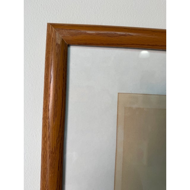 1976 Vintage Peter Parnall “Elf Owl” Serigraph Print – Signed For Sale - Image 11 of 12