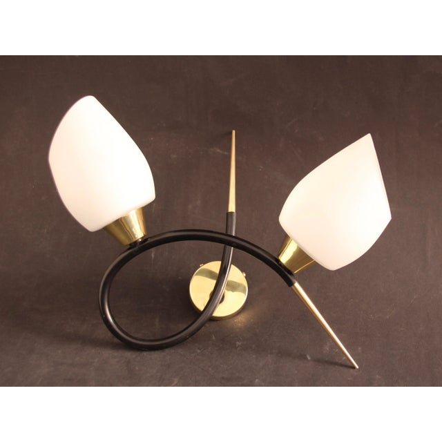 Black Sconce with Brass and Glass Shades from Lunel, France, 1960s For Sale - Image 8 of 8