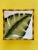 Contemporary Set of Three Contemporary Decorative Palm Leaf Plates For Sale - Image 3 of 6
