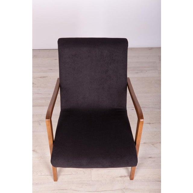 Black Set of Type 300-138 Beech Armchairs from Bystrzyckie Furniture Factory, 1960s For Sale - Image 8 of 18