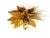 Hollywood Regency Large Gold-Plated Ceiling Lamp in the style of Hans Kögl Florentine, 1980s For Sale - Image 3 of 18