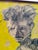 Author: enrico colombotto rosso technique: drawing, mixed media on thick paper single work, with dedication at the bottom...