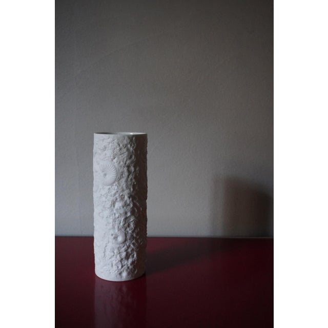 Vintage German Vases with Fossil Design in Biscuit Porcelain from AK Kaiser, 1960s, Set of 5 For Sale - Image 17 of 18